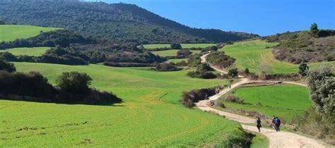 ligar en el camino de santiago|Ligar en el Camino de Santiago, enamorarse, todo es posible.